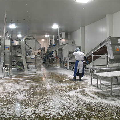 Food Manufacturing Cleaning