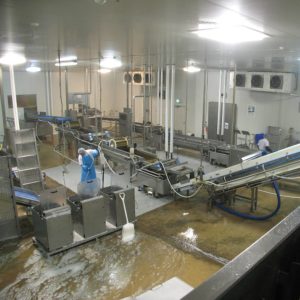 Food Industry Cleaners