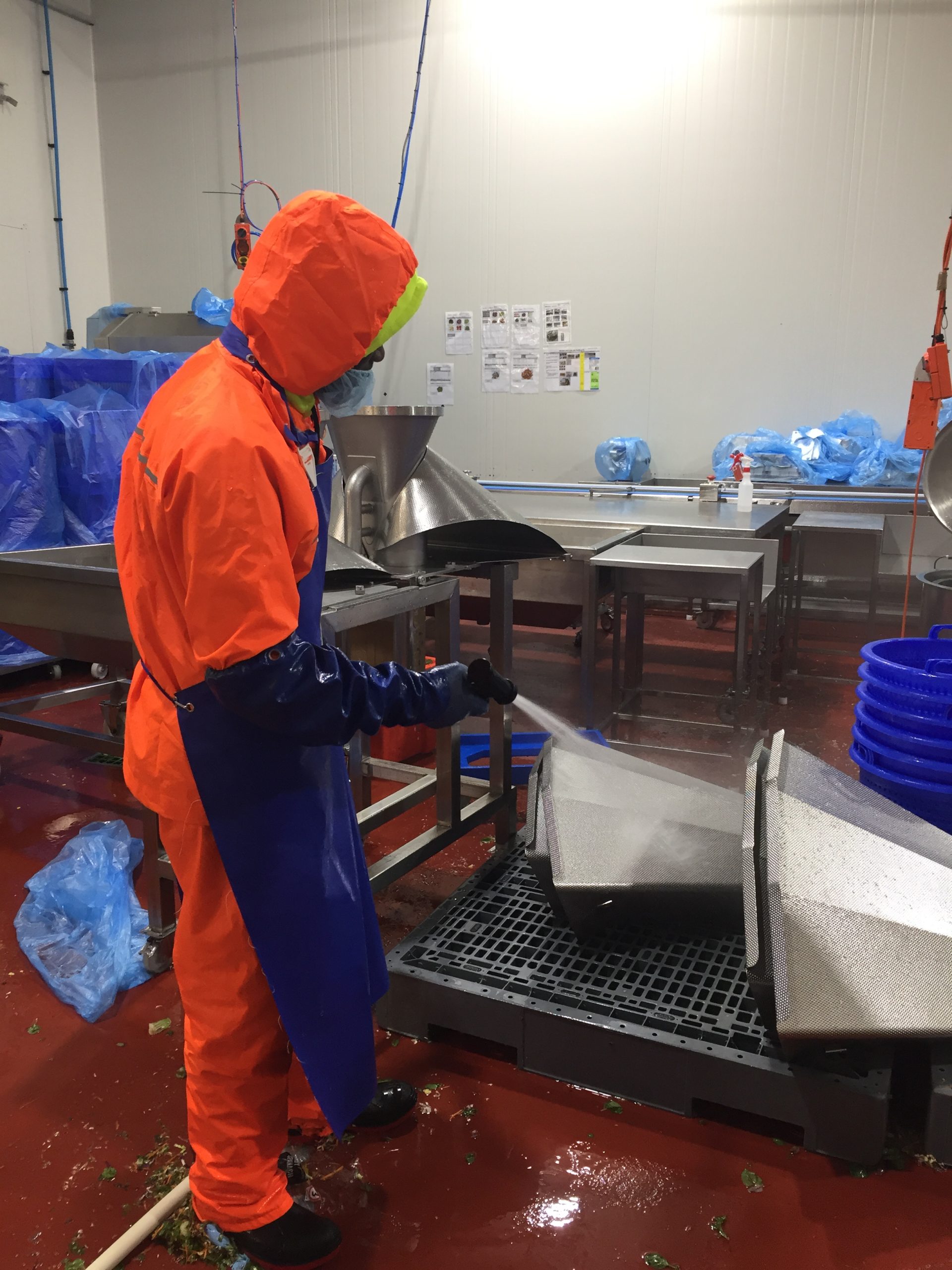 Keep Your Pasta Industry in Top Shape with Premium Cleaning Services